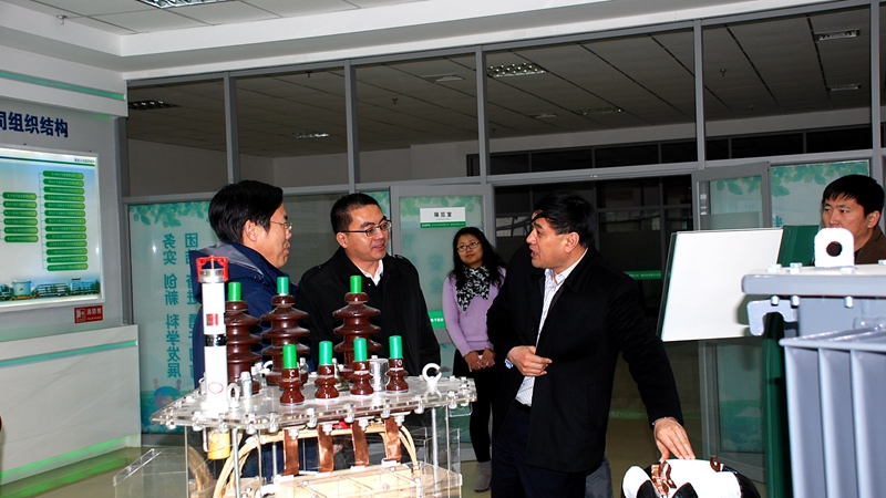 省經(jīng)信委領導來變壓器分公司調研指導